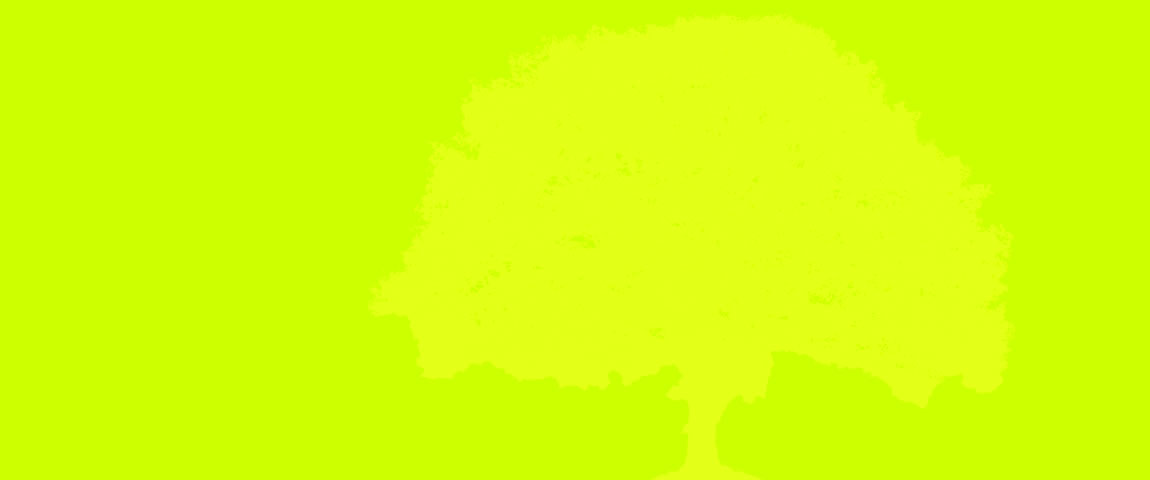 originate · Grafik Visualisierung Baumillustration